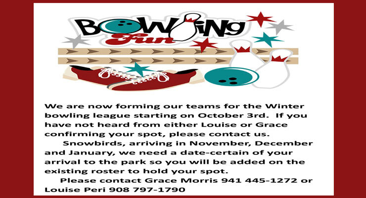 Winter Bowling League Forming